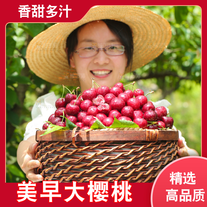 手里拿着新鲜大樱桃