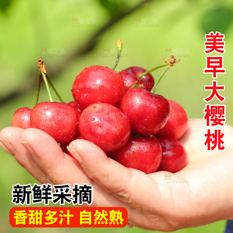 手里拿着新鲜大樱桃