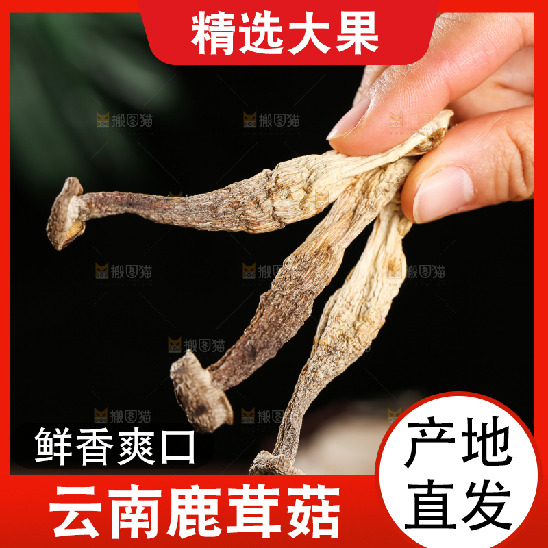深底上的鹿茸菇
