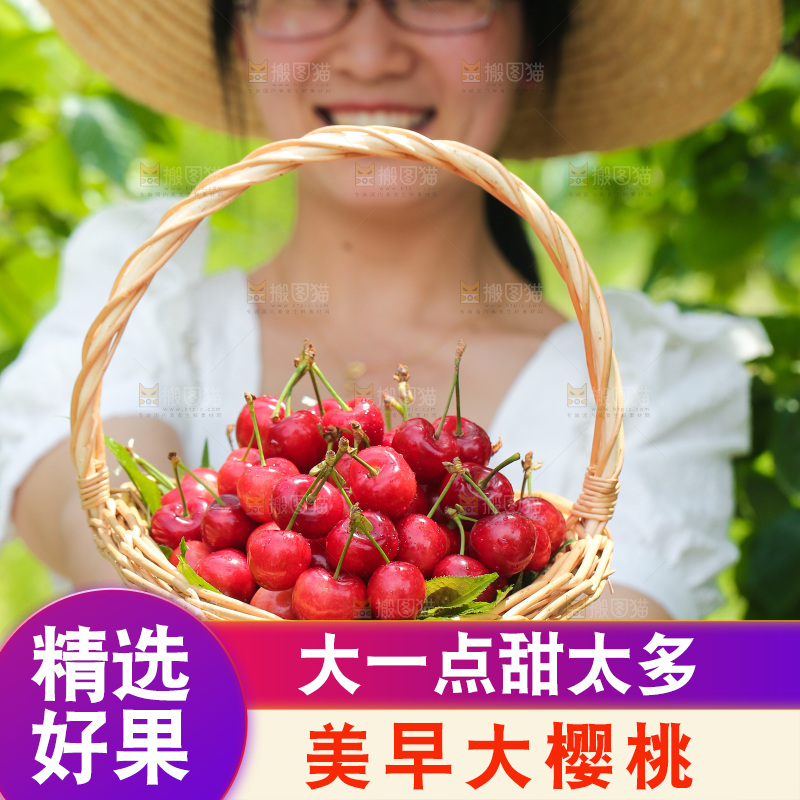 手里拿着新鲜大樱桃