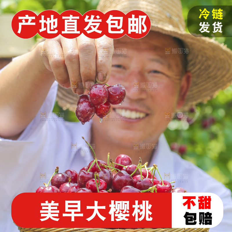 手里拿着新鲜大樱桃