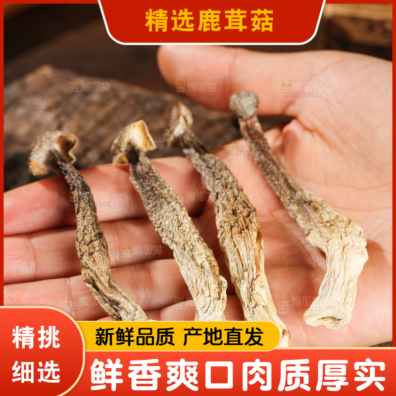 深底上的鹿茸菇
