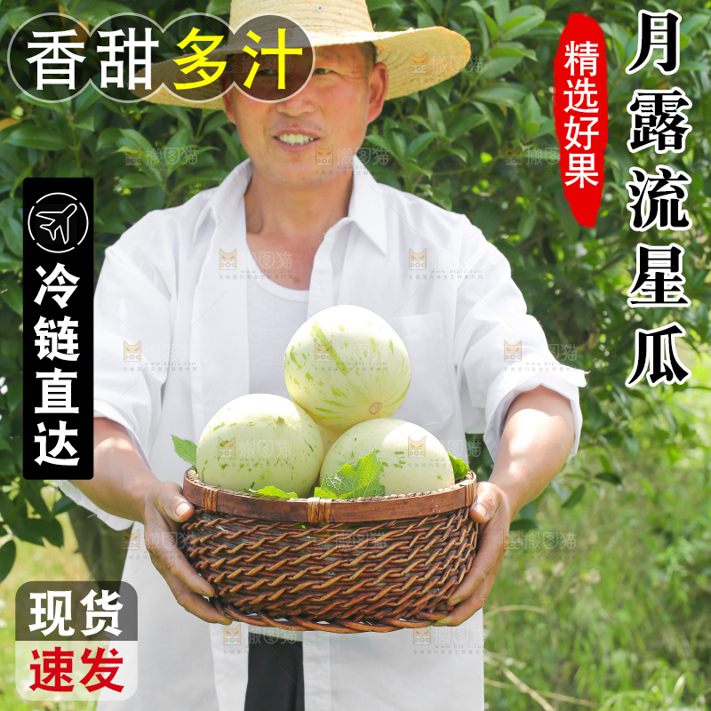手里拿着流星蜜瓜