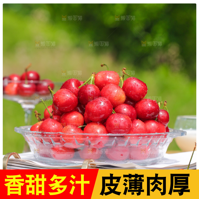 手里拿着新鲜大樱桃