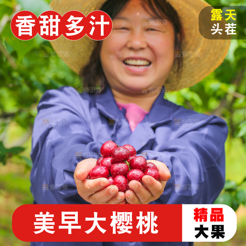 手里拿着新鲜大樱桃