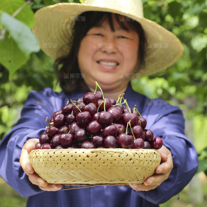 手里拿着新鲜车厘子