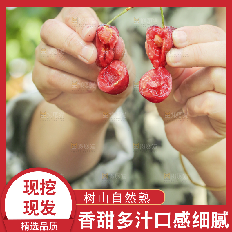 手里拿着新鲜大樱桃