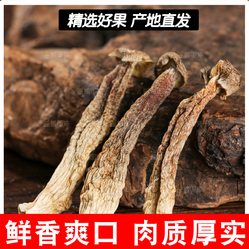 深底上的鹿茸菇