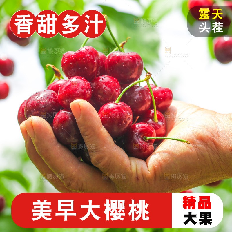 手里拿着新鲜大樱桃