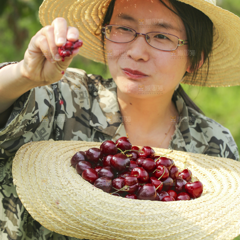 手里拿着新鲜车厘子