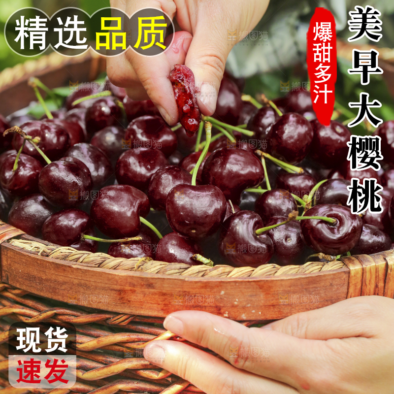 手里拿着新鲜大樱桃