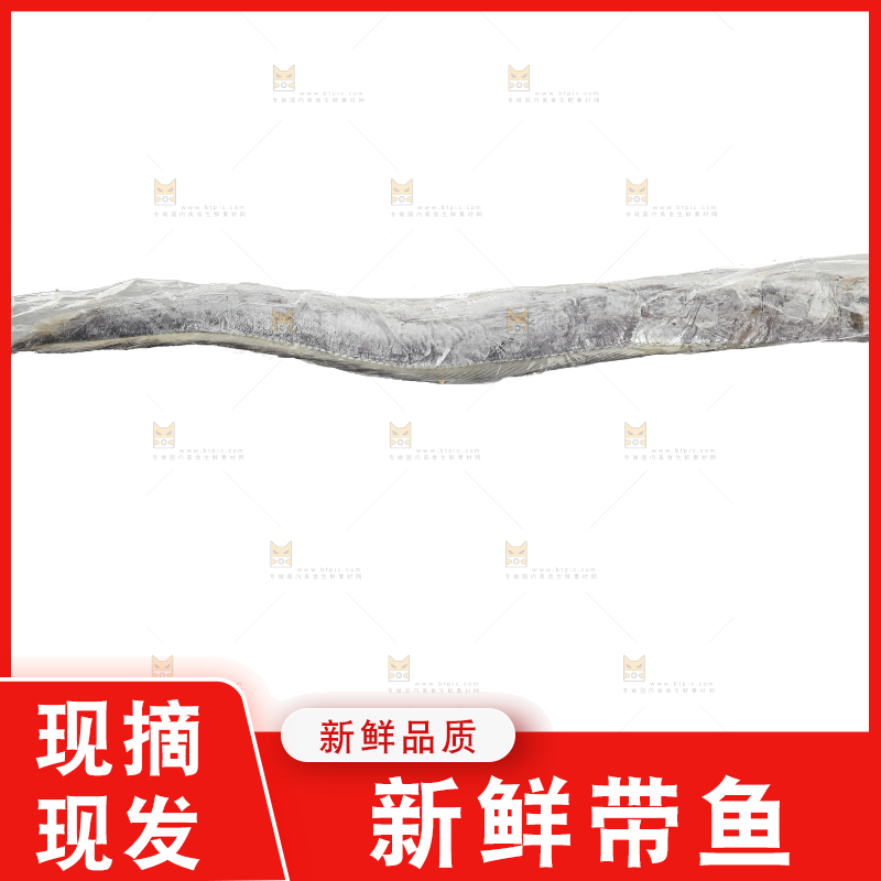 白底上的带鱼