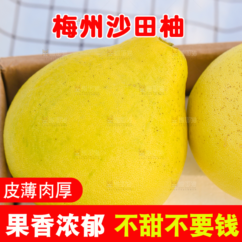 浅底上的沙田柚