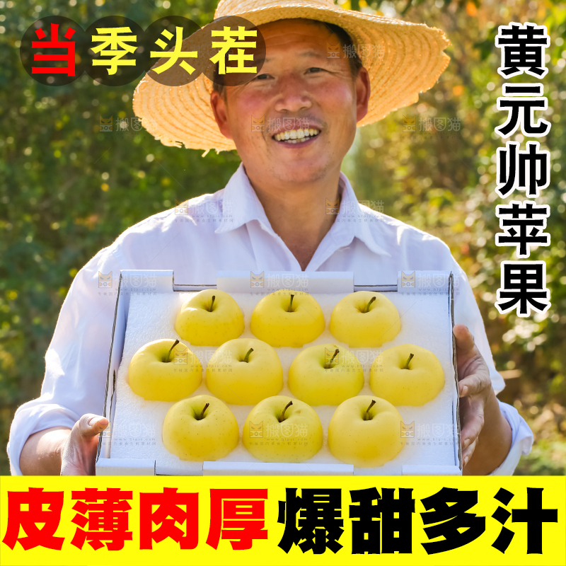 手里拿着黄元帅苹果