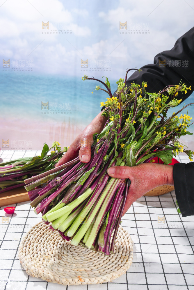 浅底上的红菜苔