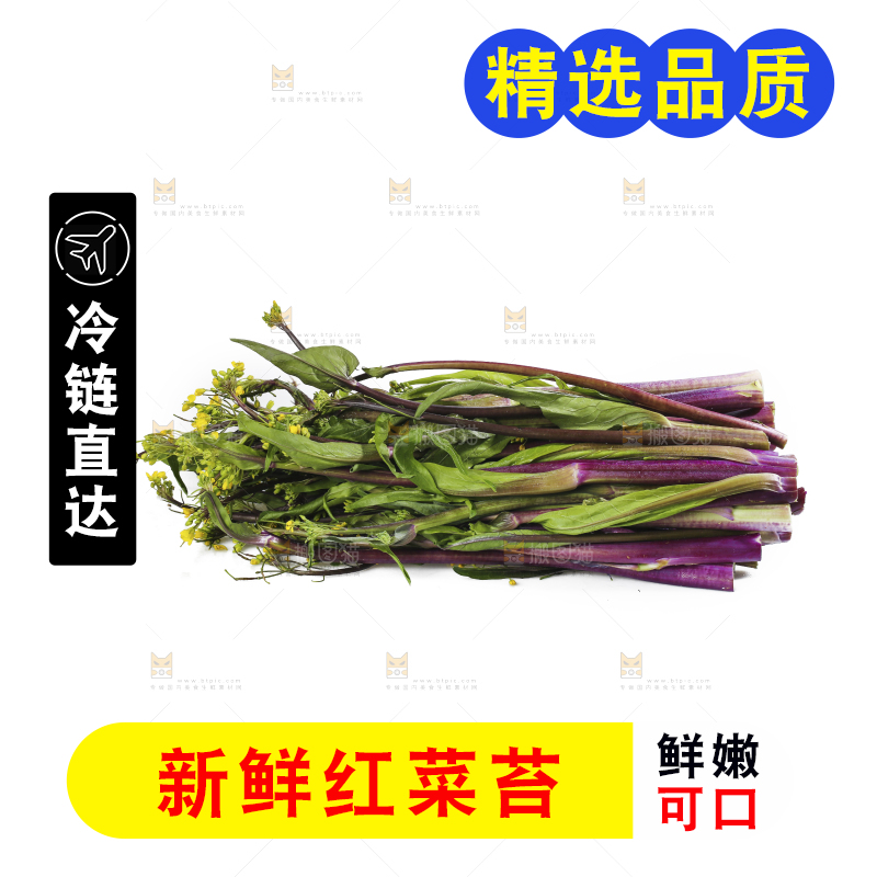 白底上的红菜苔
