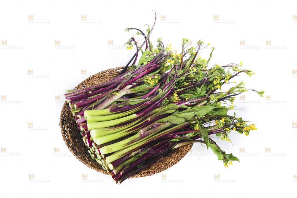 白底上的红菜苔