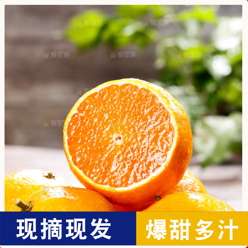 深底上的爱媛果冻橙