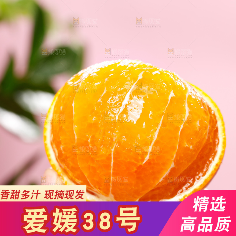 浅底上的爱媛果冻橙