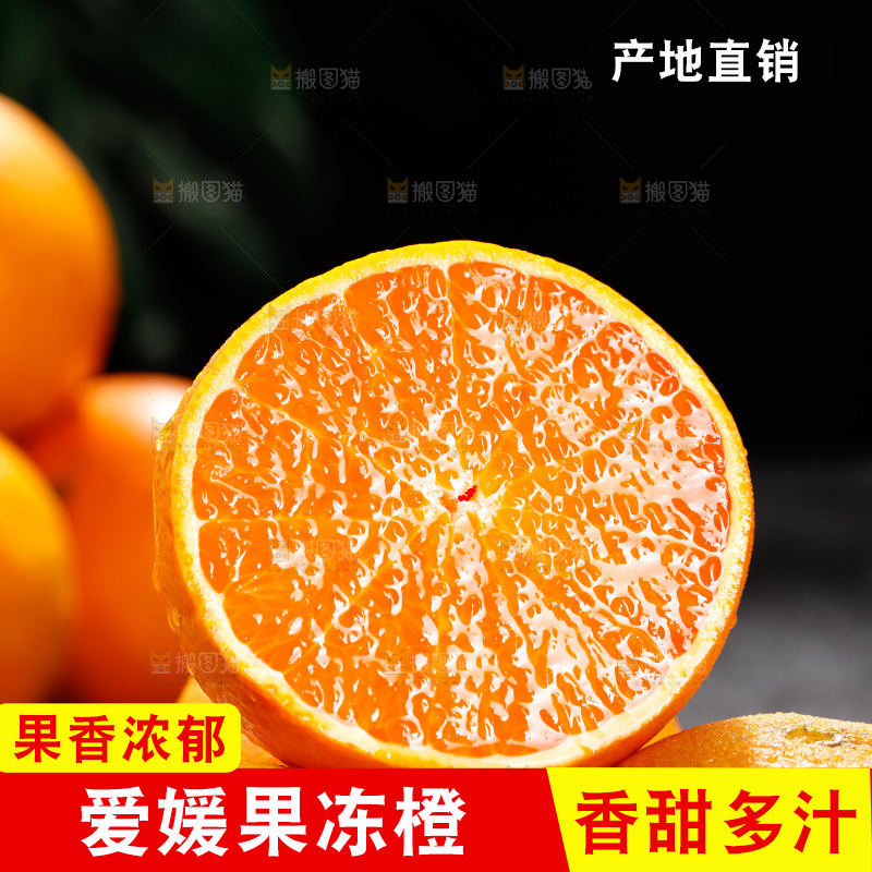 深底上的爱媛果冻橙
