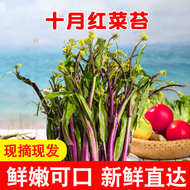 浅底上的红菜苔