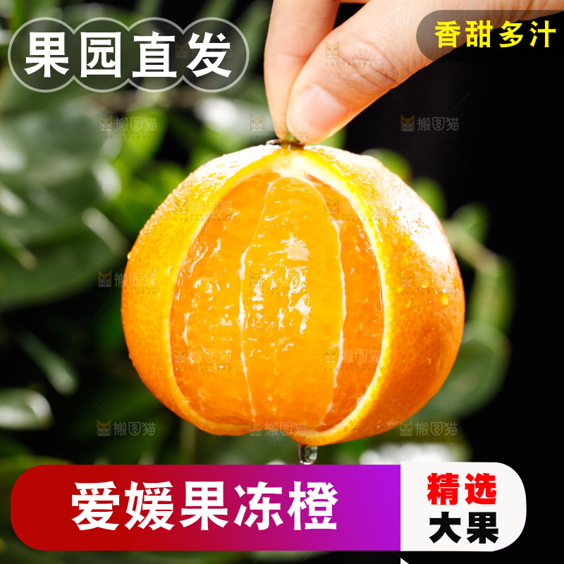 深底上的爱媛果冻橙