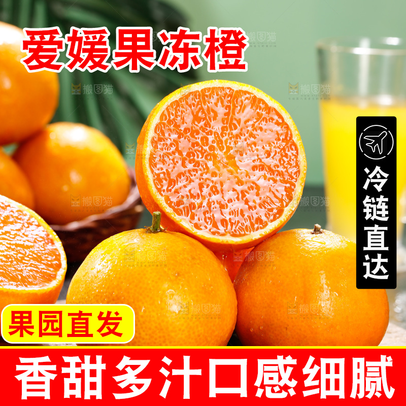 爱媛果冻橙主图