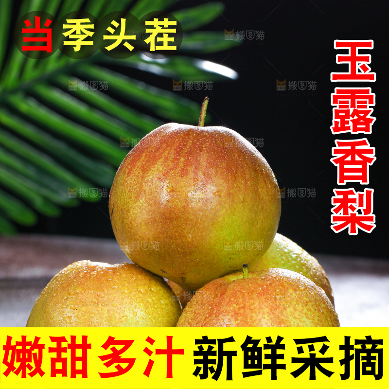 深底上的玉露香梨