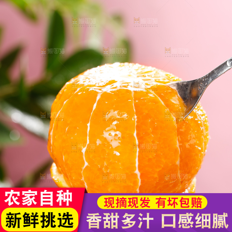 浅底上的爱媛果冻橙