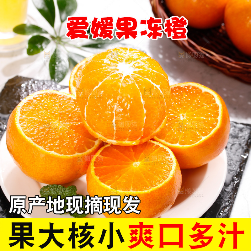 浅底上的爱媛果冻橙