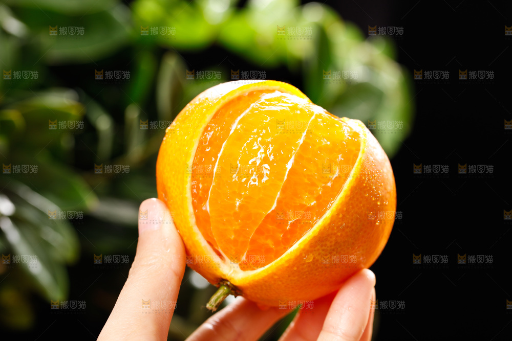 深底上的爱媛果冻橙