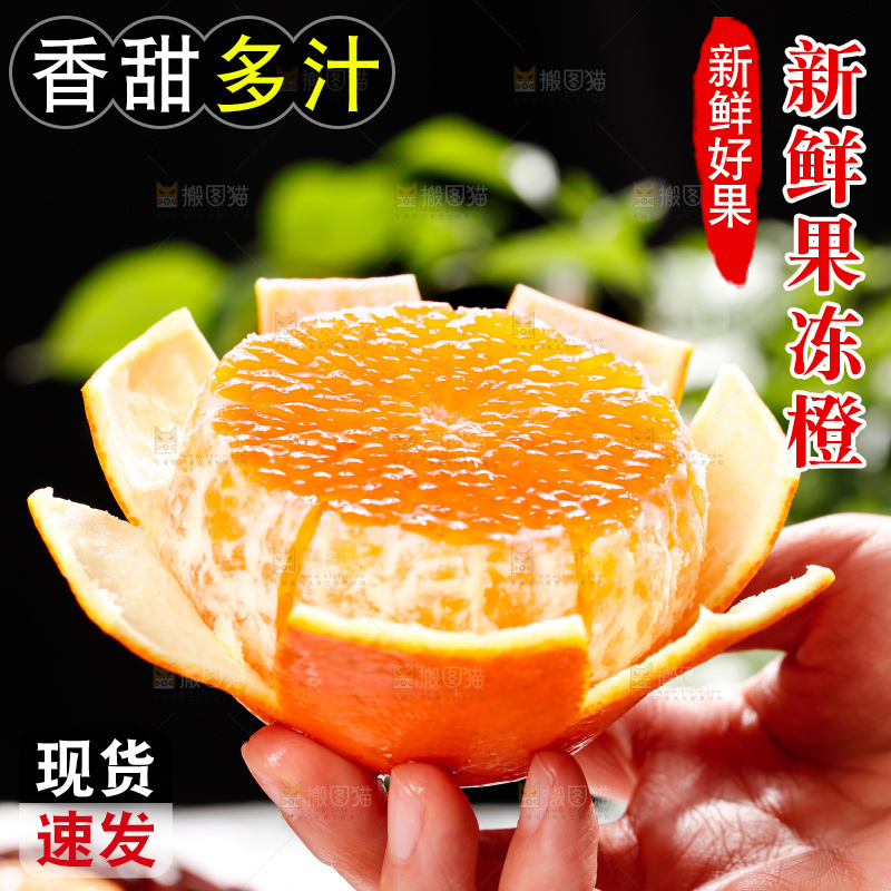 浅底上的爱媛果冻橙