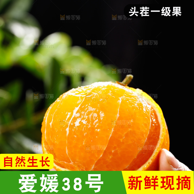 深底上的爱媛果冻橙