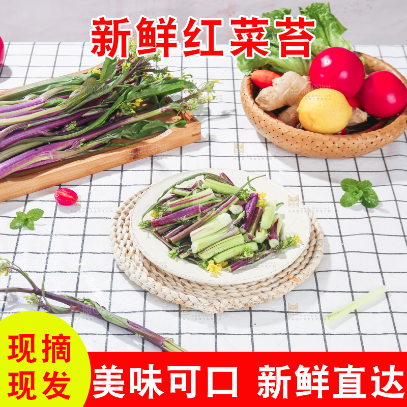 浅底上的红菜苔