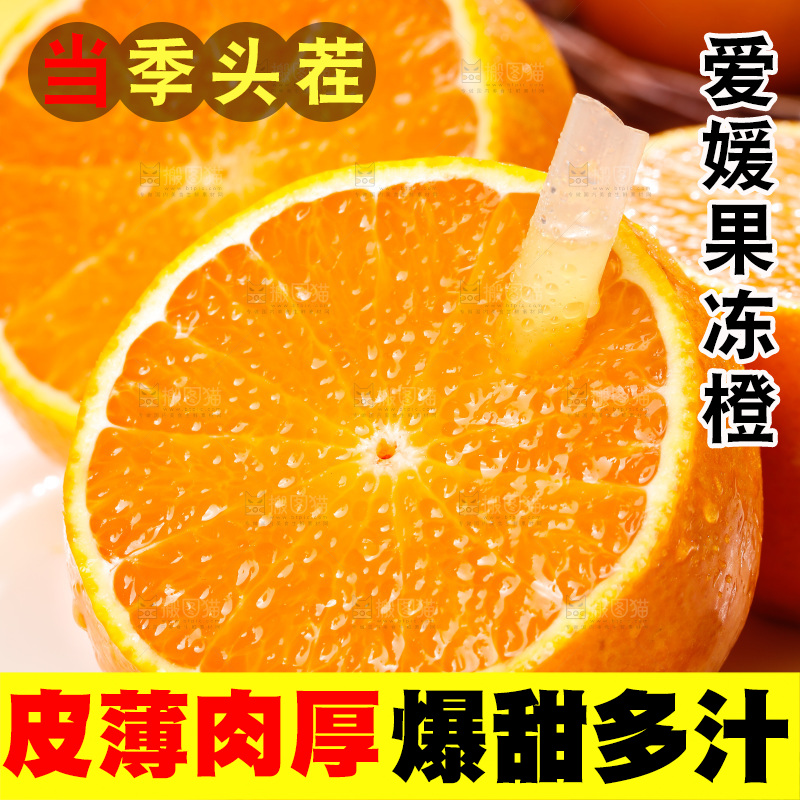 浅底上的爱媛果冻橙