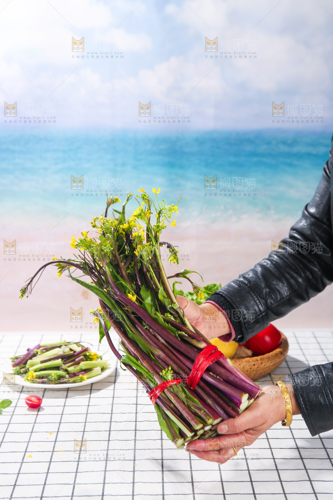 浅底上的红菜苔