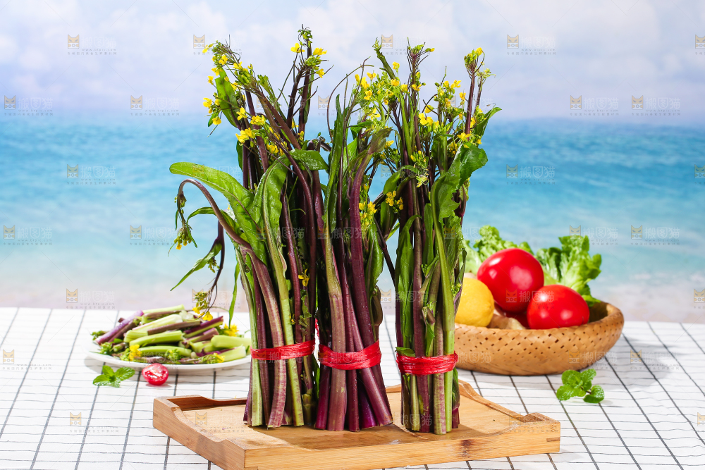 浅底上的红菜苔