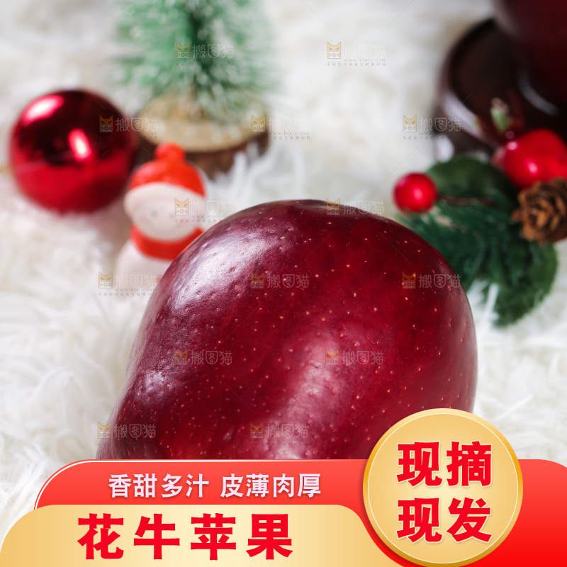 浅底上的圣诞果