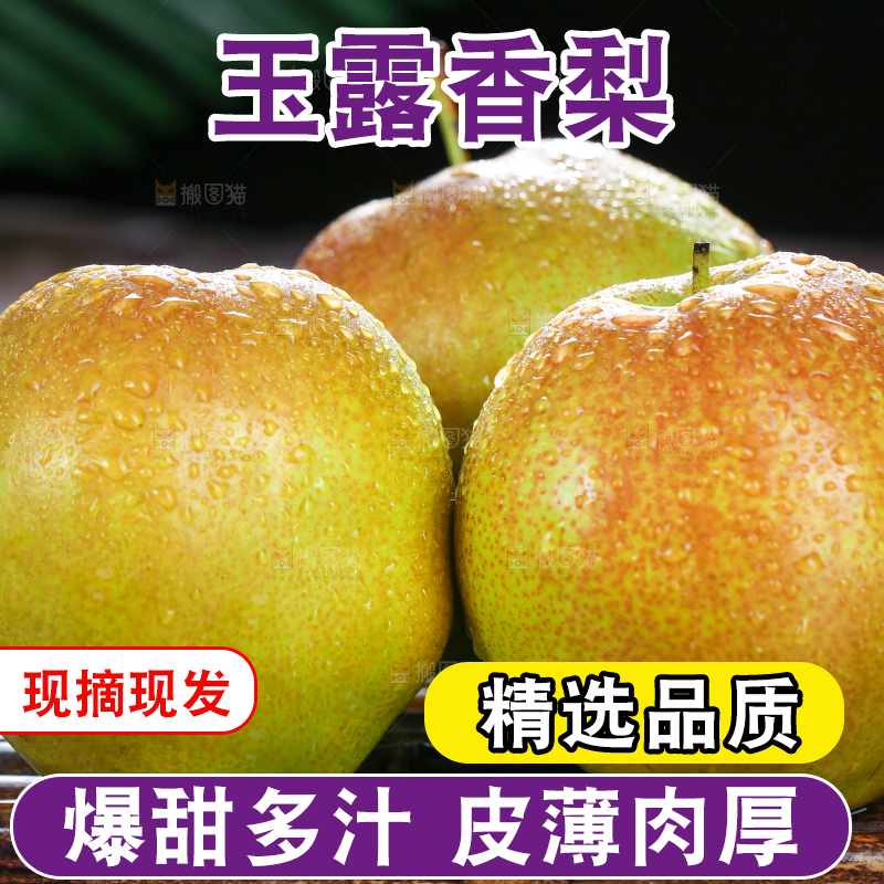 深底上的玉露香梨
