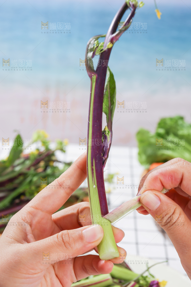 浅底上的红菜苔