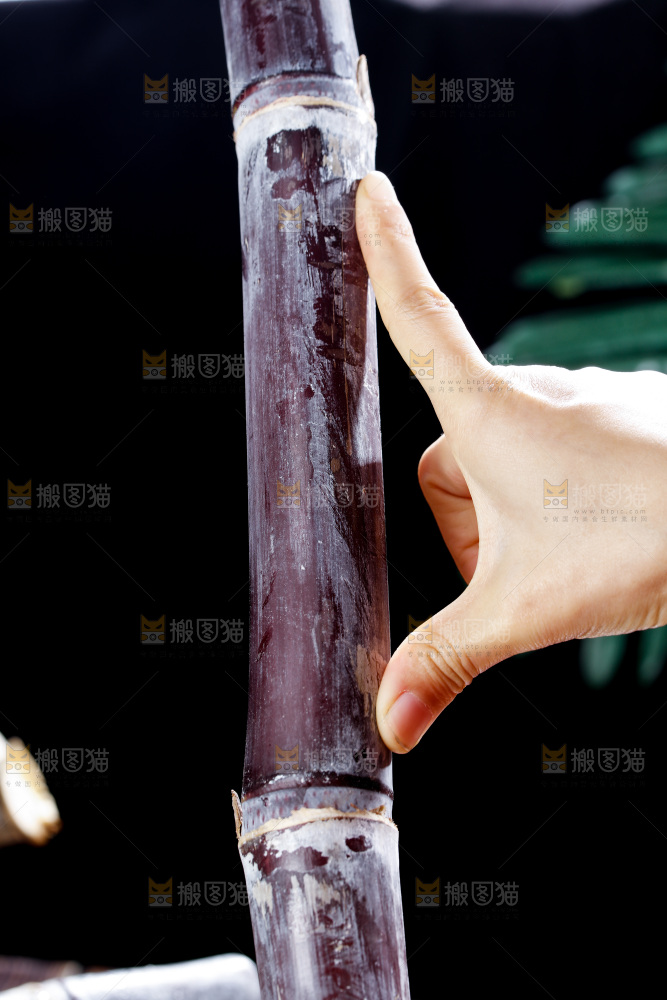 深底上的黑皮甘蔗