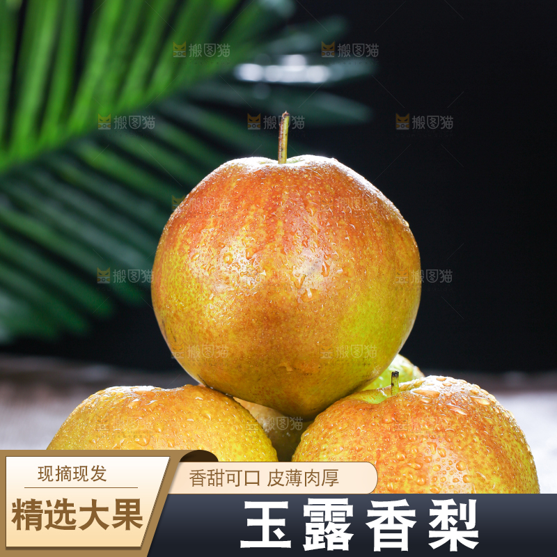 深底上的玉露香梨