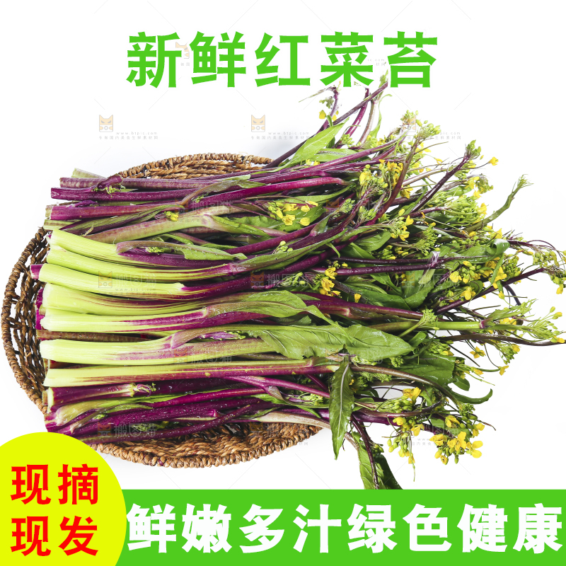 白底上的红菜苔