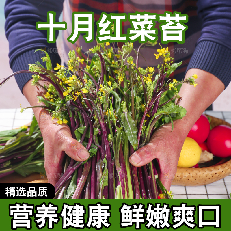 浅底上的红菜苔