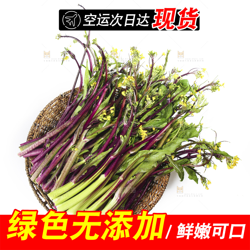 白底上的红菜苔