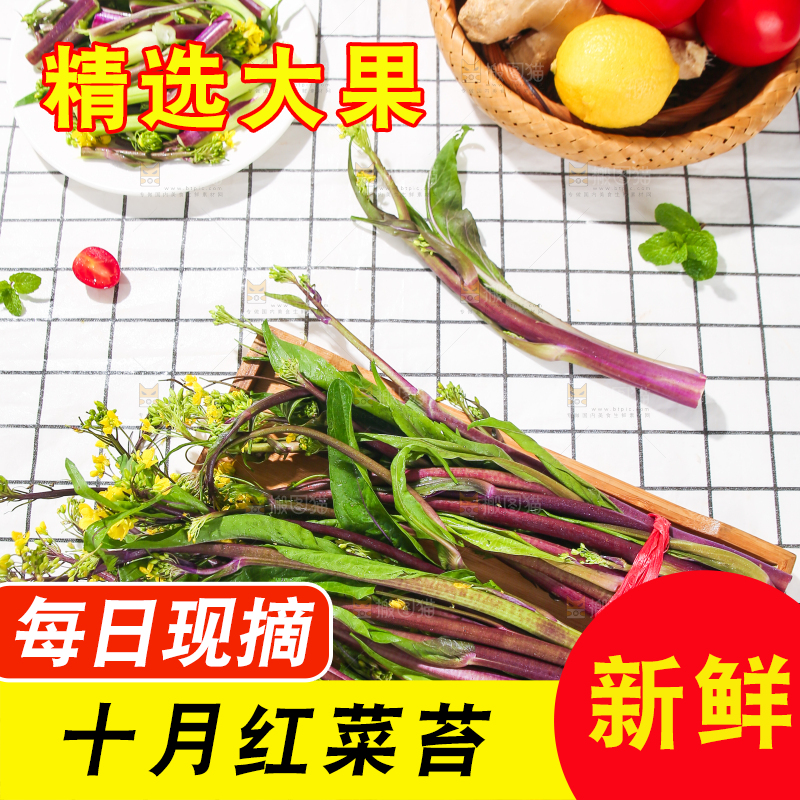 浅底上的红菜苔