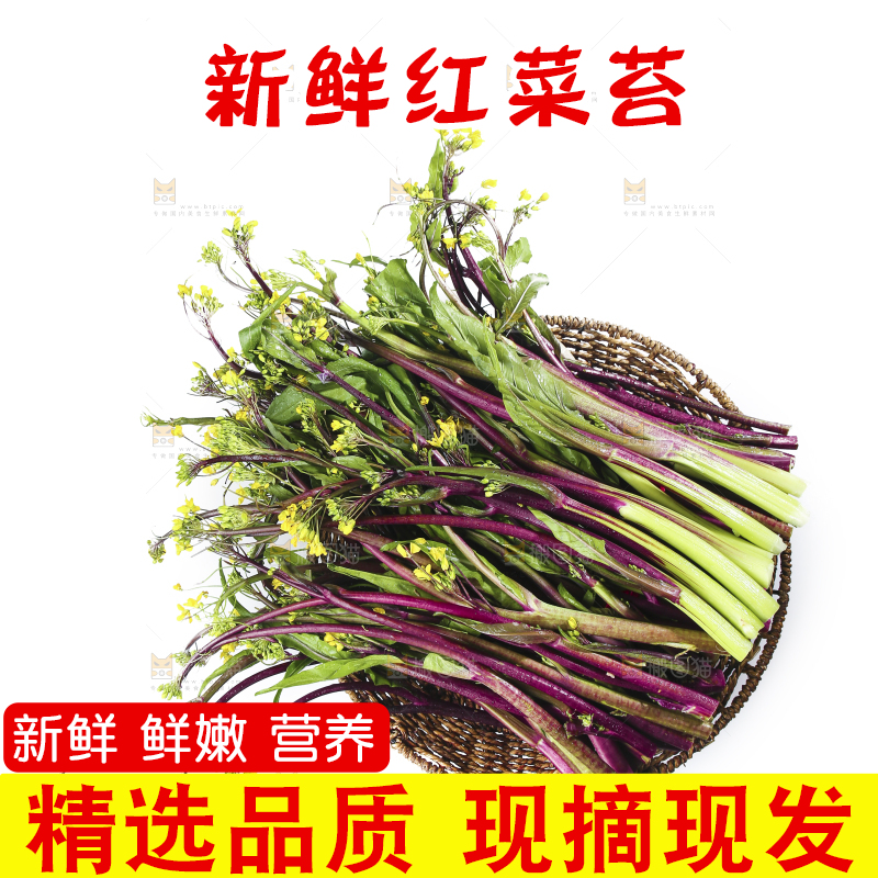 白底上的红菜苔