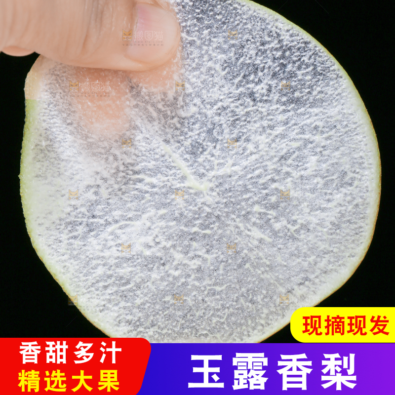 深底上的玉露香梨