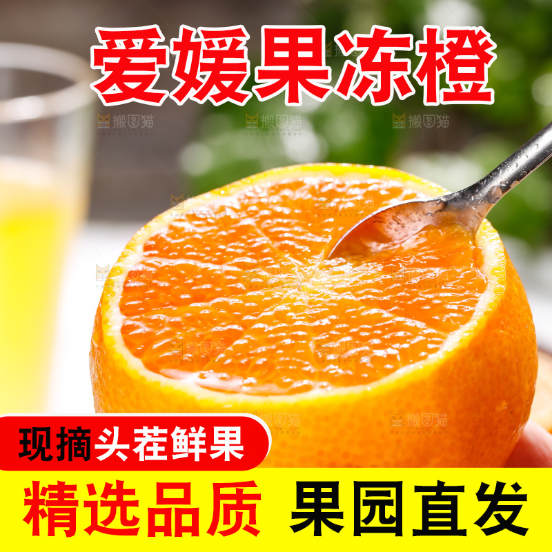 浅底上的爱媛果冻橙