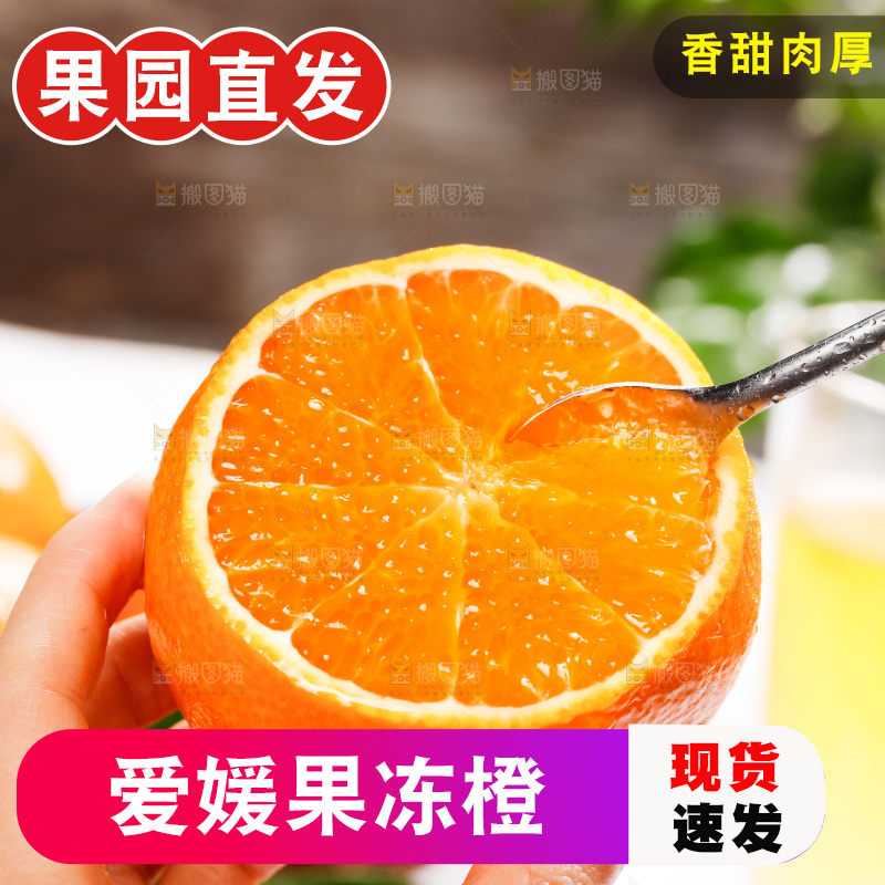 爱媛果冻橙主图